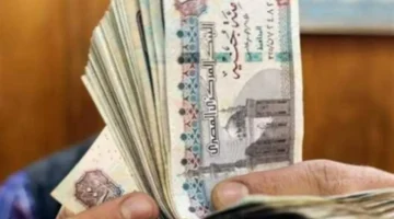 طريقة الاستعلام عن معاش أبريل بالرقم القومي عبر الموقع الإلكتروني المخصص